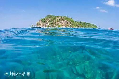 沙漠避难所